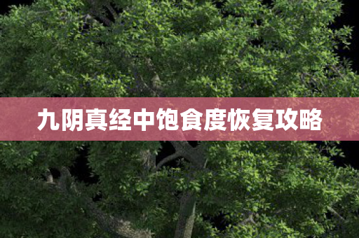九阴真经中饱食度恢复攻略