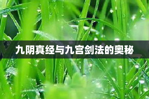 九阴真经与九宫剑法的奥秘