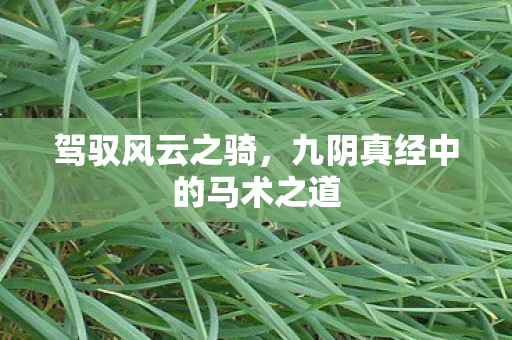 驾驭风云之骑,九阴真经中的马术之道 驾驭风云之骑,九阴真经中的马术之道