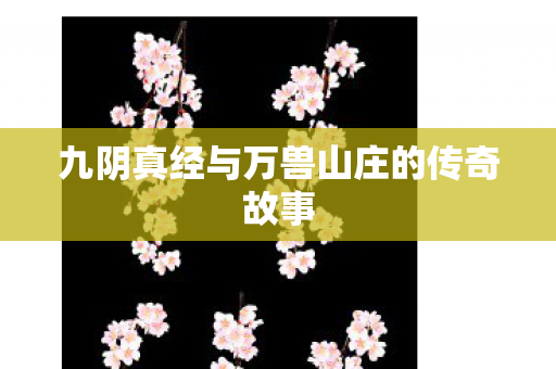 九阴真经与万兽山庄的传奇故事 九阴真经与万兽山庄的传奇故事