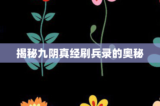 揭秘九阴真经刷兵录的奥秘