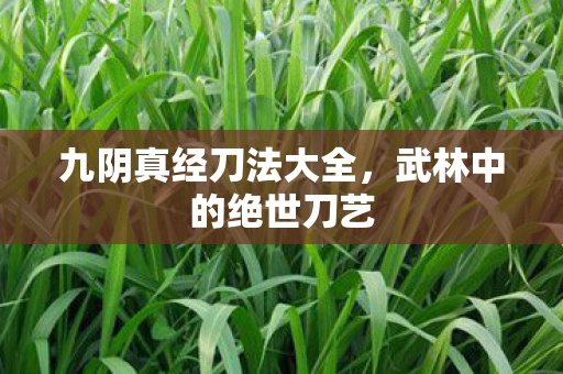 九阴真经刀法大全，武林中的绝世刀艺