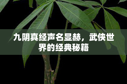 九阴真经声名显赫，武侠世界的经典秘籍