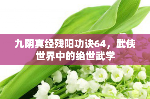九阴真经残阳功诀64，武侠世界中的绝世武学