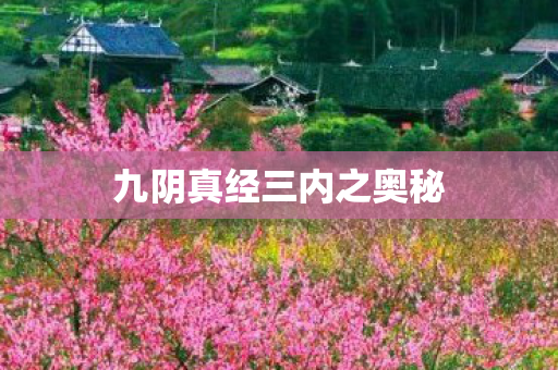 九阴真经三内之奥秘