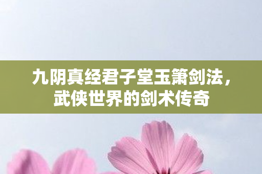 九阴真经君子堂玉箫剑法,武侠世界的剑术传奇 九阴真经君子堂玉箫剑法,武侠世界的剑术传奇