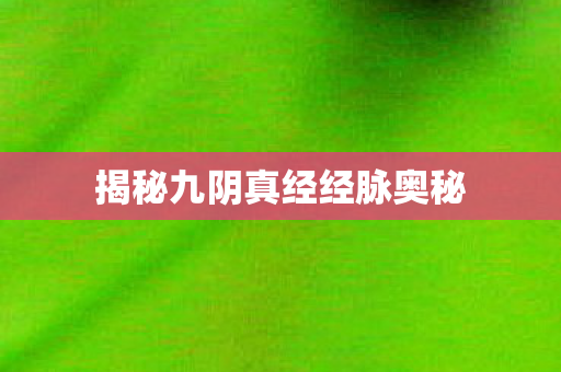 揭秘九阴真经经脉奥秘 揭秘九阴真经经脉奥秘