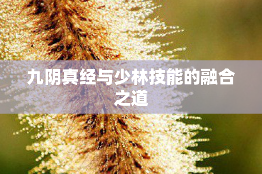 九阴真经与少林技能的融合之道