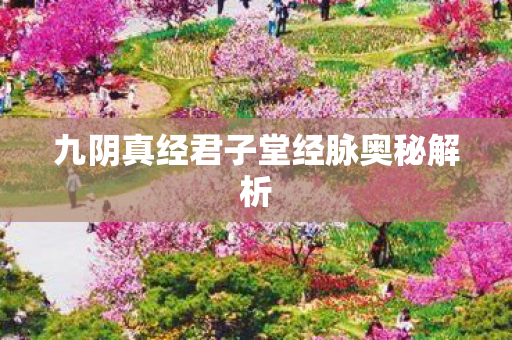 九阴真经君子堂经脉奥秘解析 九阴真经君子堂经脉奥秘解析