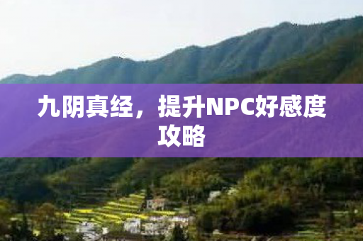 九阴真经，提升NPC好感度攻略