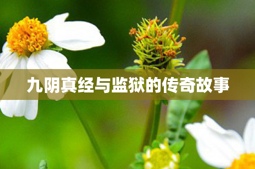 九阴真经与监狱的传奇故事