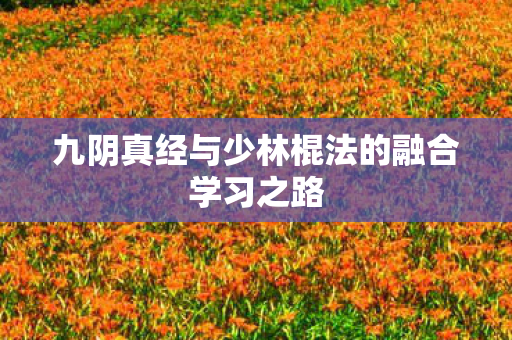 九阴真经与少林棍法的融合学习之路