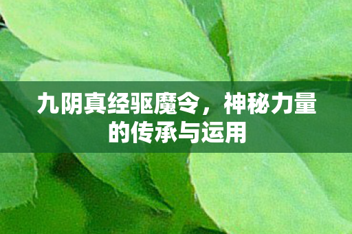 九阴真经驱魔令，神秘力量的传承与运用