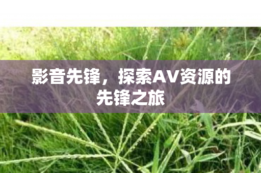 影音先锋,探索AV资源的先锋之旅 影音先锋,探索AV资源的先锋之旅
