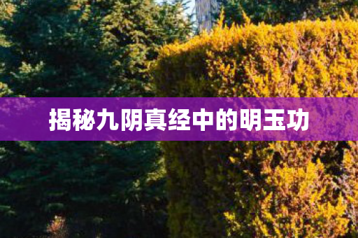揭秘九阴真经中的明玉功