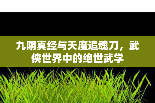 九阴真经与天魔追魂刀,武侠世界中的绝世武学 九阴真经与天魔追魂刀,武侠世界中的绝世武学