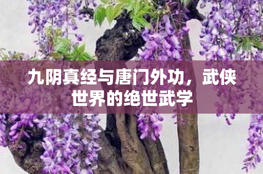 九阴真经与唐门外功,武侠世界的绝世武学 九阴真经与唐门外功,武侠世界的绝世武学