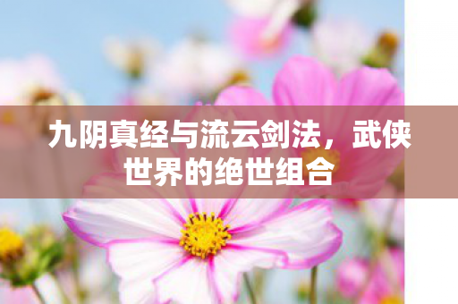 九阴真经与流云剑法,武侠世界的绝世组合 九阴真经与流云剑法,武侠世界的绝世组合