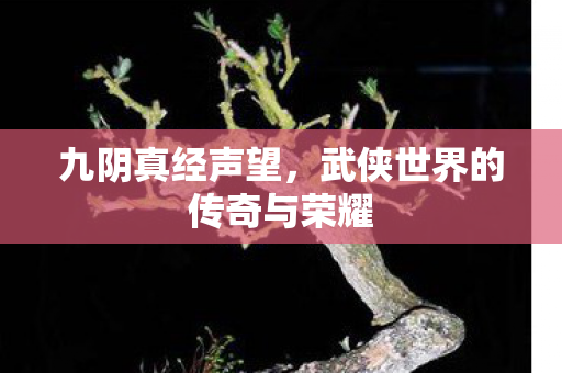 九阴真经声望，武侠世界的传奇与荣耀