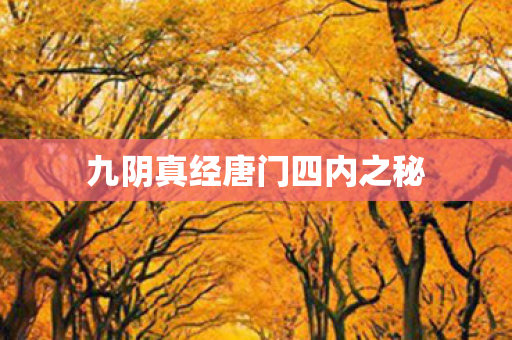 九阴真经唐门四内之秘