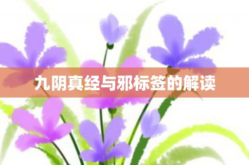 九阴真经与邪标签的解读 九阴真经与邪标签的解读