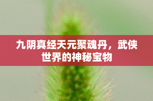 九阴真经天元聚魂丹,武侠世界的神秘宝物 九阴真经天元聚魂丹,武侠世界的神秘宝物