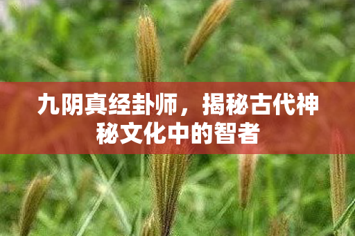 九阴真经卦师，揭秘古代神秘文化中的智者