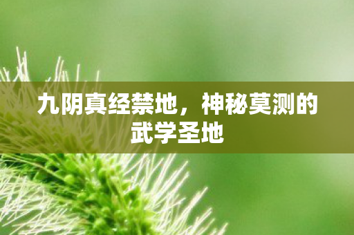 九阴真经禁地，神秘莫测的武学圣地