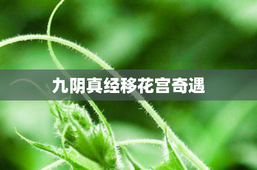 九阴真经移花宫奇遇
