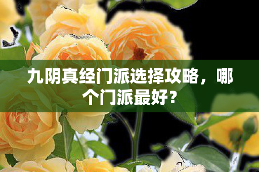 九阴真经门派选择攻略,哪个门派最好? 九阴真经门派选择攻略,哪个门派最好?
