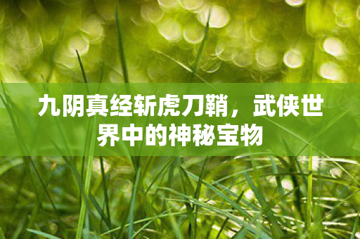 九阴真经斩虎刀鞘,武侠世界中的神秘宝物 九阴真经斩虎刀鞘,武侠世界中的神秘宝物