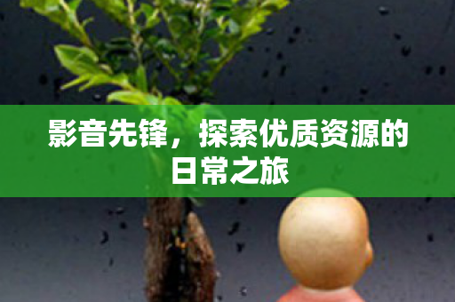 影音先锋，探索优质资源的日常之旅