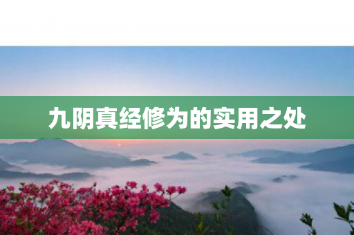 九阴真经修为的实用之处 九阴真经修为的实用之处