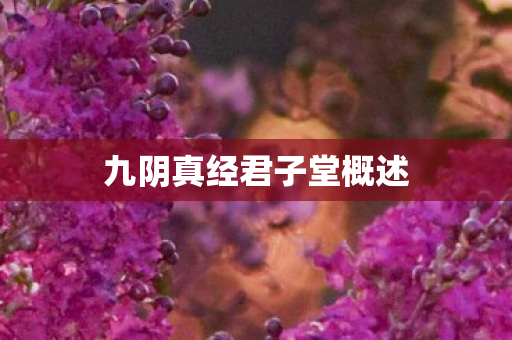 九阴真经君子堂概述 九阴真经君子堂概述