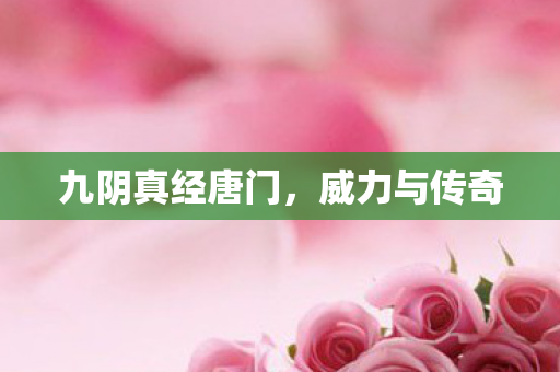 九阴真经唐门，威力与传奇