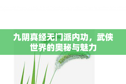 九阴真经无门派内功，武侠世界的奥秘与魅力