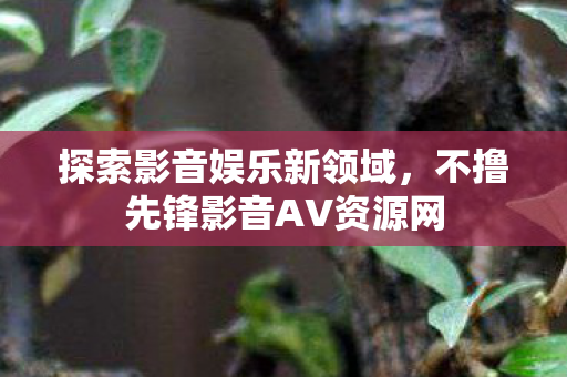 探索影音娱乐新领域，不撸先锋影音AV资源网