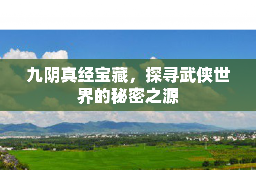 九阴真经宝藏，探寻武侠世界的秘密之源