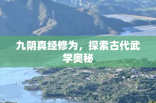 九阴真经修为，探索古代武学奥秘