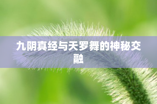 九阴真经与天罗舞的神秘交融