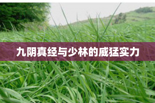 九阴真经与少林的威猛实力