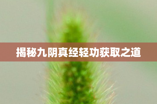 揭秘九阴真经轻功获取之道