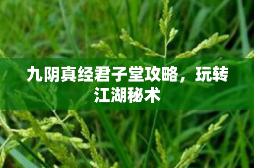 九阴真经君子堂攻略，玩转江湖秘术