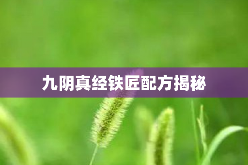 九阴真经铁匠配方揭秘