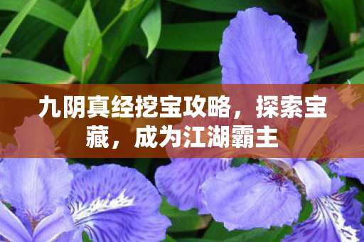 九阴真经挖宝攻略,探索宝藏,成为江湖霸主 九阴真经挖宝攻略,探索宝藏,成为江湖霸主