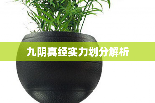 九阴真经实力划分解析
