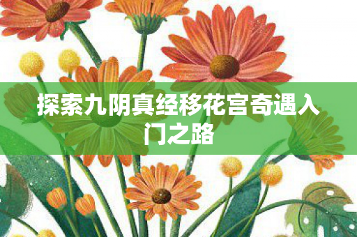 探索九阴真经移花宫奇遇入门之路