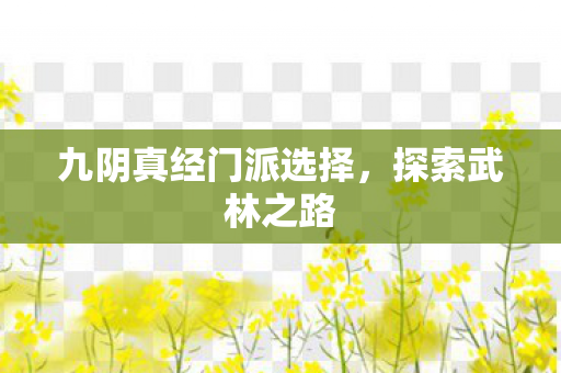 九阴真经门派选择，探索武林之路