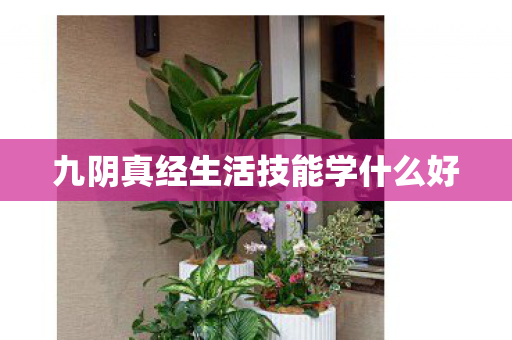 九阴真经生活技能学什么好