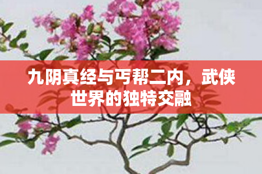 九阴真经与丐帮二内,武侠世界的独特交融 九阴真经与丐帮二内,武侠世界的独特交融